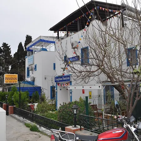 Cengizhan * Turgutreis