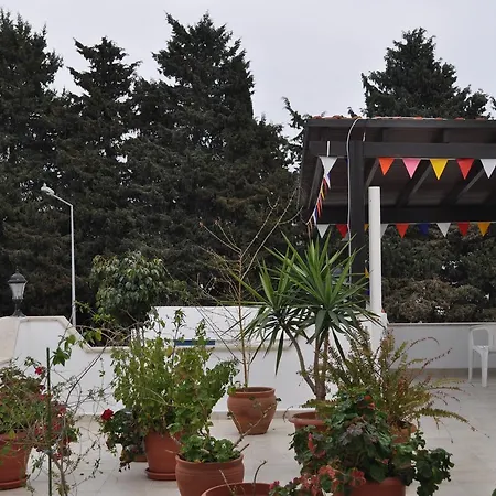 B&B Cengizhan *