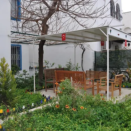 Cengizhan * Turgutreis